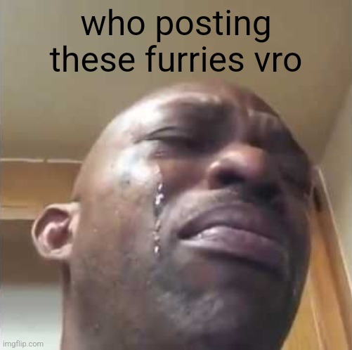 ts ain't funny anymore | who posting these furries vro | image tagged in crying guy meme | made w/ Imgflip meme maker