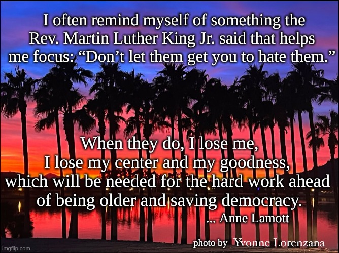 Anne Lamott quote | I often remind myself of something the Rev. Martin Luther King Jr. said that helps me focus: “Don’t let them get you to hate them.”; When they do, I lose me, 
I lose my center and my goodness, 
which will be needed for the hard work ahead 
of being older and saving democracy. ... Anne Lamott; photo by | image tagged in mlkjr,don't let them,being older saving democracy | made w/ Imgflip meme maker