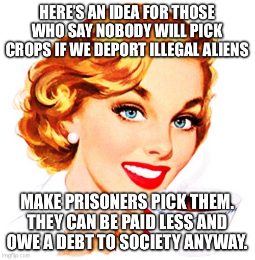 Here's An Idea For You | HERE’S AN IDEA FOR THOSE WHO SAY NOBODY WILL PICK CROPS IF WE DEPORT ILLEGAL ALIENS; MAKE PRISONERS PICK THEM. THEY CAN BE PAID LESS AND OWE A DEBT TO SOCIETY ANYWAY. | image tagged in here's an idea for you | made w/ Imgflip meme maker