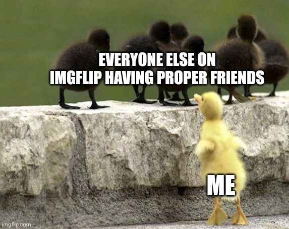 . | EVERYONE ELSE ON IMGFLIP HAVING PROPER FRIENDS; ME | image tagged in excluded,grrrr,idk | made w/ Imgflip meme maker