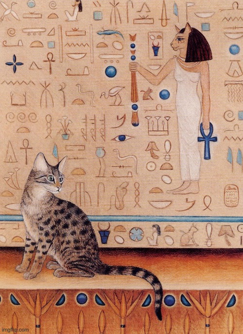 Egyptian Mau cat with hieroglyph of the ancient Egyptian goddess, Bastet. | image tagged in cats | made w/ Imgflip meme maker