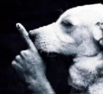 dog shush Blank Meme Template