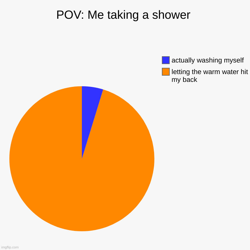 POV: Me taking a shower | letting the warm water hit my back, actually washing myself | image tagged in charts,pie charts | made w/ Imgflip chart maker