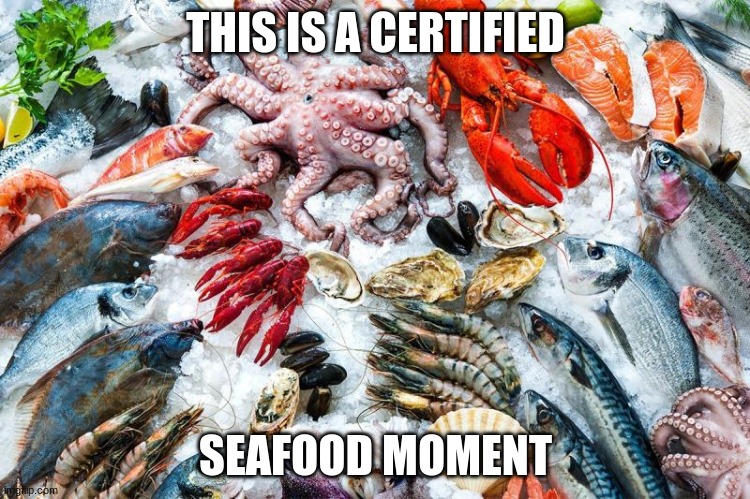 THIS IS A CERTIFIED; SEAFOOD MOMENT | image tagged in seafood | made w/ Imgflip meme maker