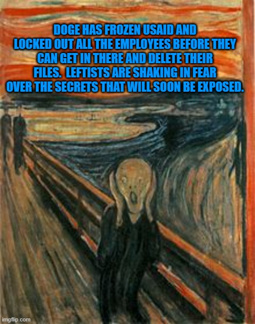 Munch Scream | DOGE HAS FROZEN USAID AND LOCKED OUT ALL THE EMPLOYEES BEFORE THEY CAN GET IN THERE AND DELETE THEIR FILES.  LEFTISTS ARE SHAKING IN FEAR OVER THE SECRETS THAT WILL SOON BE EXPOSED. | image tagged in munch scream | made w/ Imgflip meme maker