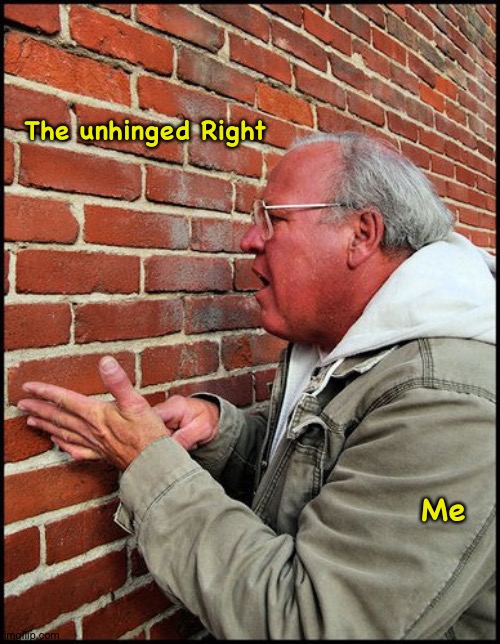 You can always tell a Trumper...but you can't tell him much... | The unhinged Right; Me | image tagged in like talking to a brick wall 2 | made w/ Imgflip meme maker