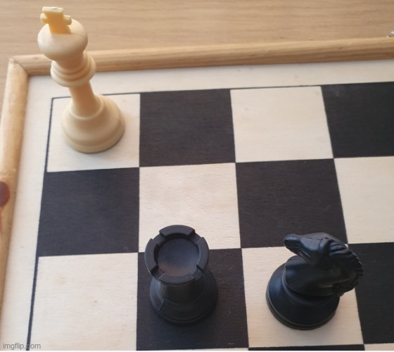 Check mate | image tagged in check mate | made w/ Imgflip meme maker