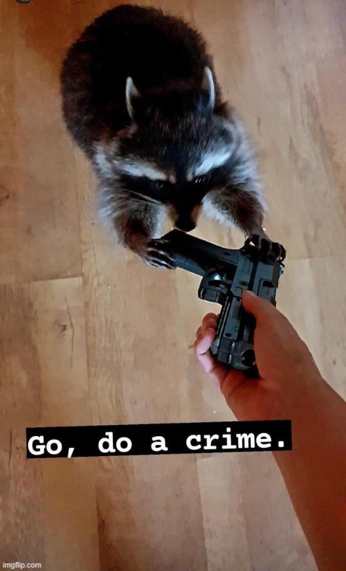 image tagged in go do a crime | made w/ Imgflip meme maker