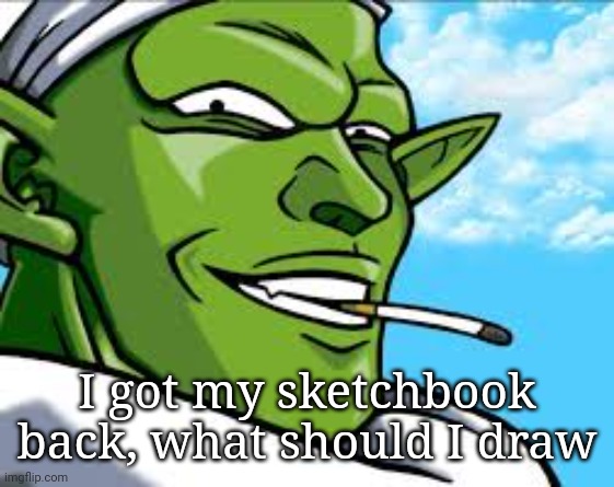 Smug Piccolo | I got my sketchbook back, what should I draw | image tagged in smug piccolo | made w/ Imgflip meme maker