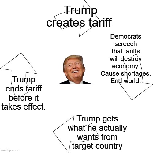 Trump Tariffs | Democrats screech that tariffs will destroy economy. Cause shortages. End world. Trump creates tariff; Trump ends tariff before it takes effect. Trump gets what he actually wants from target country | image tagged in vicious cycle | made w/ Imgflip meme maker