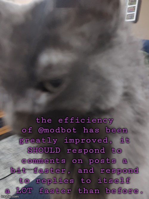 32's Cat | the efficiency of @modbot has been greatly improved, it SHOULD respond to comments on posts a bit faster, and respond to replies to itself a LOT faster than before. | image tagged in 32's cat,threading module | made w/ Imgflip meme maker