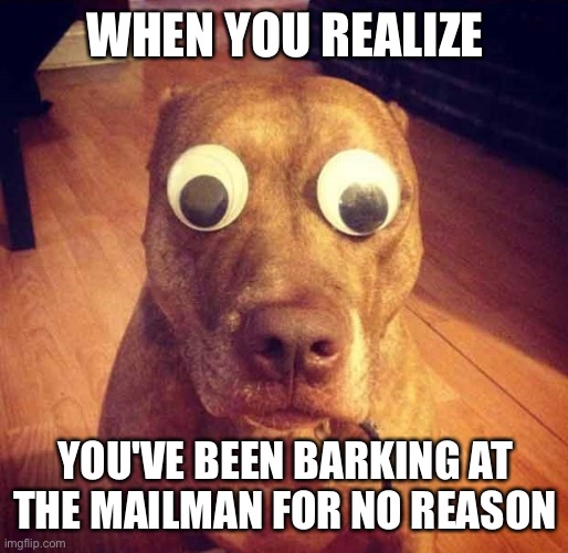 Shocked | WHEN YOU REALIZE; YOU'VE BEEN BARKING AT THE MAILMAN FOR NO REASON | image tagged in shocked | made w/ Imgflip meme maker