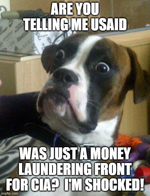 Blankie the Shocked Dog | ARE YOU TELLING ME USAID; WAS JUST A MONEY LAUNDERING FRONT FOR CIA?  I'M SHOCKED! | image tagged in blankie the shocked dog | made w/ Imgflip meme maker