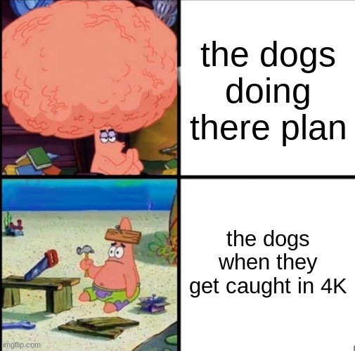 the dogs doing there plan the dogs when they get caught in 4K | image tagged in patrick big brain | made w/ Imgflip meme maker