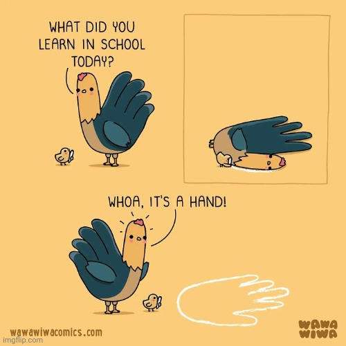 Hand | image tagged in hand,hands,school,birds,comics,comics/cartoons | made w/ Imgflip meme maker