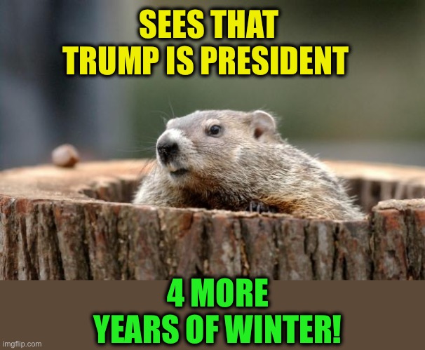 Some people be like: | SEES THAT TRUMP IS PRESIDENT; 4 MORE YEARS OF WINTER! | image tagged in groundhog,trump,facebook,screaming,memes,not me | made w/ Imgflip meme maker