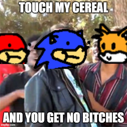 No Bitches Sunky | TOUCH MY CEREAL; AND YOU GET NO BITCHES | image tagged in black boy roast | made w/ Imgflip meme maker