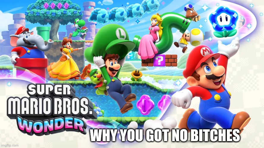 Super Mario Bros.™ Wonder | WHY YOU GOT NO BITCHES | image tagged in super mario bros wonder | made w/ Imgflip meme maker