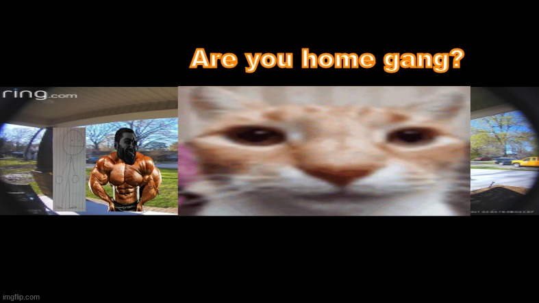 Slidecast ring camera | Are you home gang? | image tagged in slidecast ring camera | made w/ Imgflip meme maker