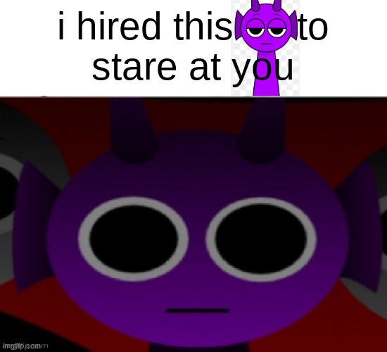 Durple Stare at you (without text) | i hired this      to
stare at you | image tagged in durple stare at you without text | made w/ Imgflip meme maker