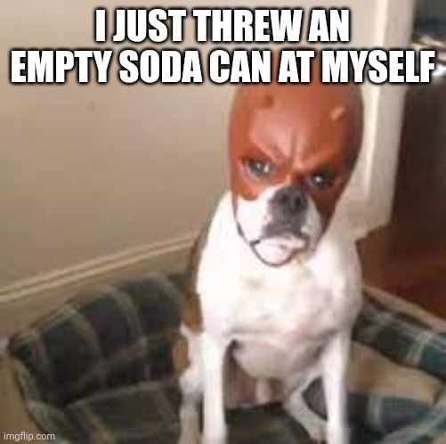 Daredevil dog | I JUST THREW AN EMPTY SODA CAN AT MYSELF | image tagged in daredevil dog | made w/ Imgflip meme maker