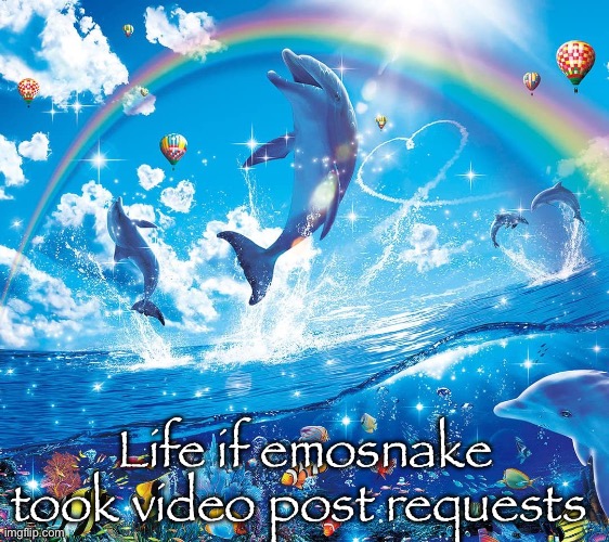 Misinformation dolphins | Life if emosnake took video post requests | image tagged in misinformation dolphins | made w/ Imgflip meme maker