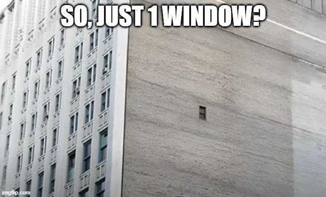 One Window | SO, JUST 1 WINDOW? | image tagged in you had one job | made w/ Imgflip meme maker