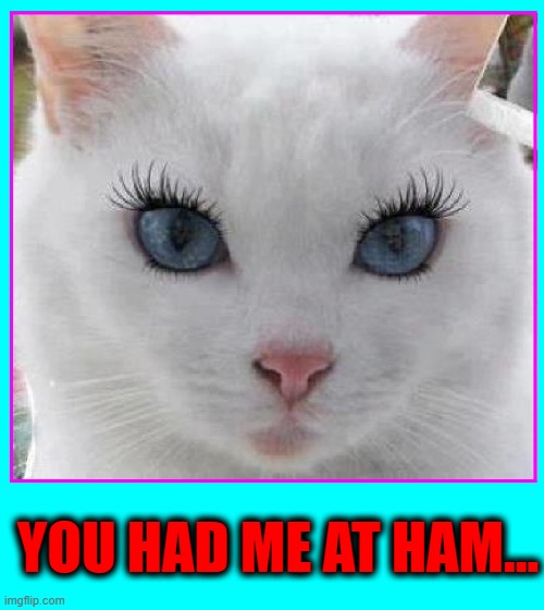 YOU HAD ME AT HAM... | made w/ Imgflip meme maker