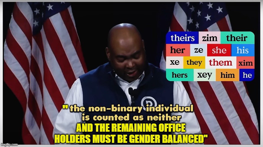 The DNC doubles down on identity politics | "; AND THE REMAINING OFFICE HOLDERS MUST BE GENDER BALANCED" | image tagged in dnc,gender,identity politics,maga,america first,political meme | made w/ Imgflip meme maker