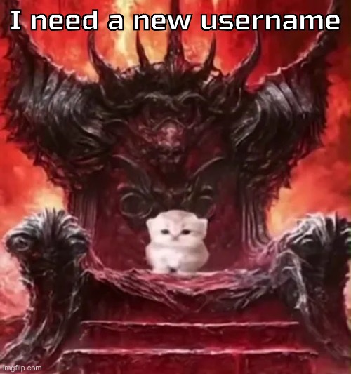 Kitty :3 | I need a new username | image tagged in kitty 3 | made w/ Imgflip meme maker