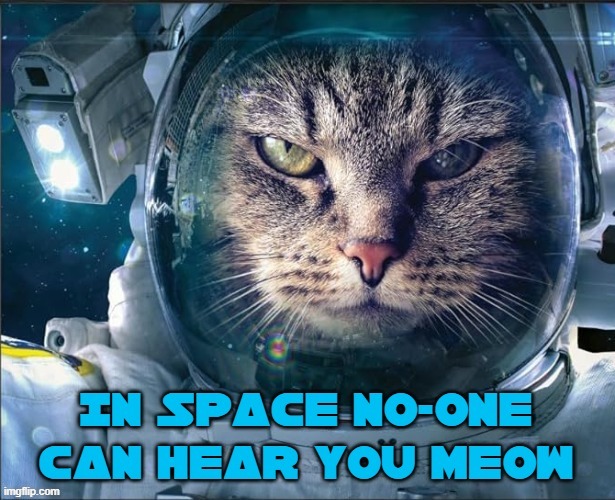 Space Cat: an even Grumpier Cat | image tagged in vince vance,funny cats,cats,cats in space,meow,i love cats | made w/ Imgflip meme maker