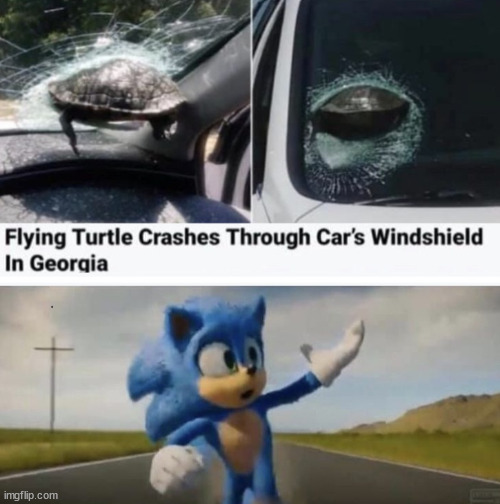 Sonic, Ooops... | image tagged in sonic the hedgehog,lattice climbing,climbing,turtle,road | made w/ Imgflip meme maker