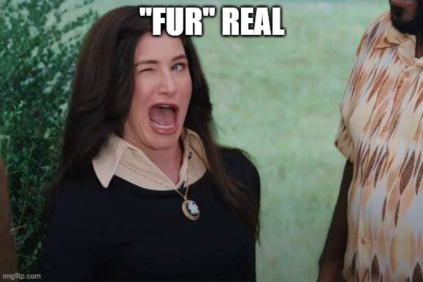 WandaVision Agnes wink | "FUR" REAL | image tagged in wandavision agnes wink | made w/ Imgflip meme maker