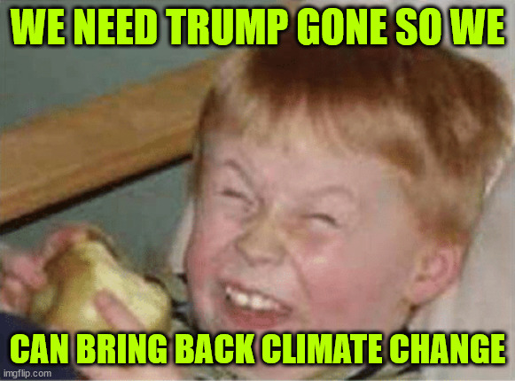 Funny how climate change disappears when the money dries up | WE NEED TRUMP GONE SO WE; CAN BRING BACK CLIMATE CHANGE | image tagged in sour apple,trump is in the way,they need their climate change back | made w/ Imgflip meme maker