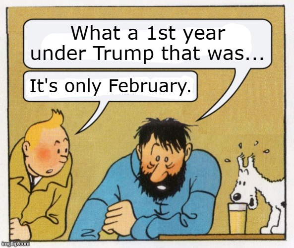 What a year | What a 1st year under Trump that was... It's only February. | image tagged in what a year | made w/ Imgflip meme maker
