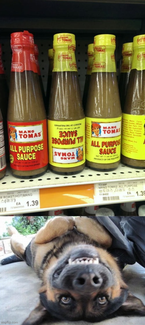 Sauces | image tagged in upside down dog,sauces,sauce,you had one job,memes,upside down | made w/ Imgflip meme maker