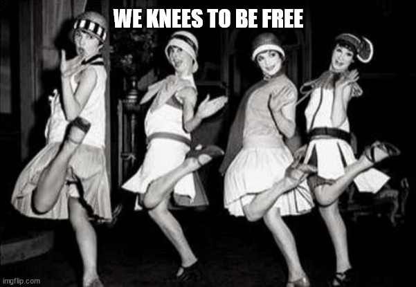 Flapper Girls | WE KNEES TO BE FREE | image tagged in flapper girls | made w/ Imgflip meme maker