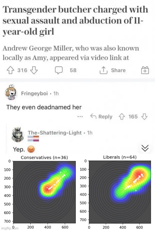 Morality Heatmap go brrr | image tagged in liberals,conservatives | made w/ Imgflip meme maker