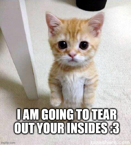 Time for a lil controversy | I AM GOING TO TEAR OUT YOUR INSIDES :3 | image tagged in memes,cute cat | made w/ Imgflip meme maker