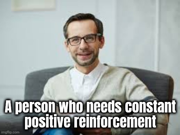 Psychiatrist | A person who needs constant
positive reinforcement | image tagged in psychiatrist | made w/ Imgflip meme maker