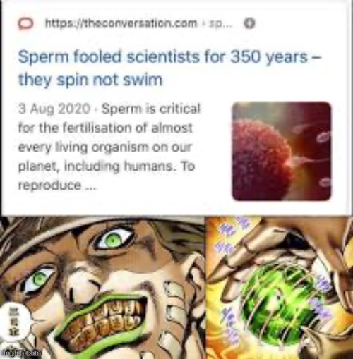 Spin your balls | image tagged in memes,funny,anime,jojo's bizarre adventure | made w/ Imgflip meme maker