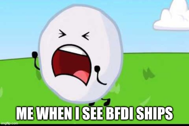 BFDI Snowball NOOOOO | ME WHEN I SEE BFDI SHIPS | image tagged in bfdi snowball nooooo | made w/ Imgflip meme maker