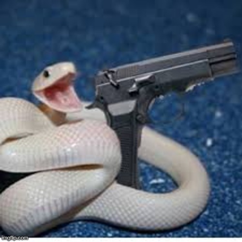 image tagged in snake got gun | made w/ Imgflip meme maker