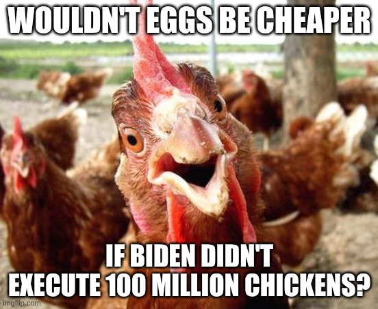 why eggs are expensive | WOULDN'T EGGS BE CHEAPER; IF BIDEN DIDN'T EXECUTE 100 MILLION CHICKENS? | image tagged in chicken,eggs,prices | made w/ Imgflip meme maker