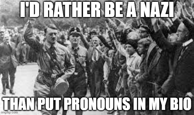 No Pronouns Nazi | I'D RATHER BE A NAZI; THAN PUT PRONOUNS IN MY BIO | image tagged in nazi germany approves,pronouns,bio | made w/ Imgflip meme maker