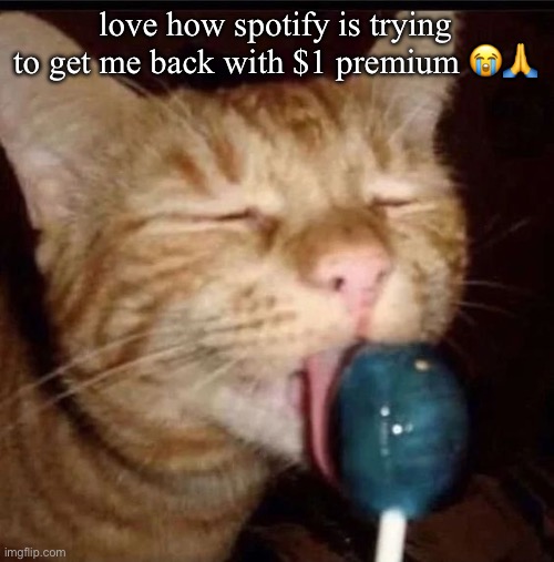 like nah buddy im fine with apple music | love how spotify is trying to get me back with $1 premium 😭🙏 | image tagged in silly goober 2 | made w/ Imgflip meme maker