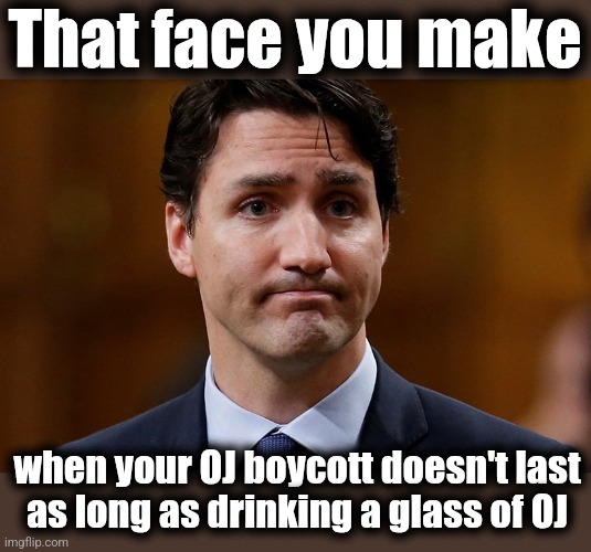 What an idiot | That face you make; when your OJ boycott doesn't last
as long as drinking a glass of OJ | image tagged in memes,justin trudeau,orange juice,boycott,trump derangement syndrome,that was quick | made w/ Imgflip meme maker