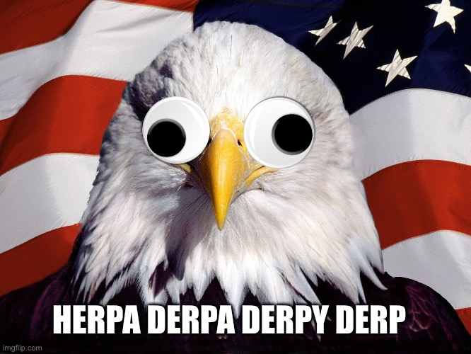 Freedom Eagle | HERPA DERPA DERPY DERP | image tagged in freedom eagle | made w/ Imgflip meme maker