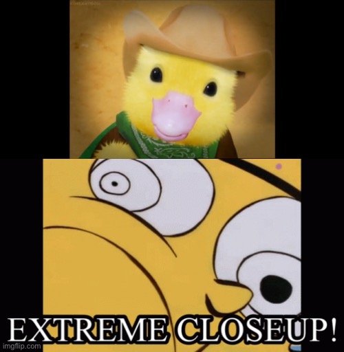 image tagged in extreme closeup,wonder pets | made w/ Imgflip meme maker