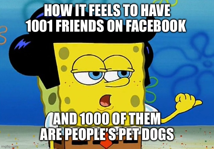 The best Facebook friends | HOW IT FEELS TO HAVE 1001 FRIENDS ON FACEBOOK; AND 1000 OF THEM ARE PEOPLE’S PET DOGS | image tagged in cool guy sponge bob,dogs,facebook | made w/ Imgflip meme maker